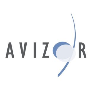 2002 - Second AVIZOR Logo